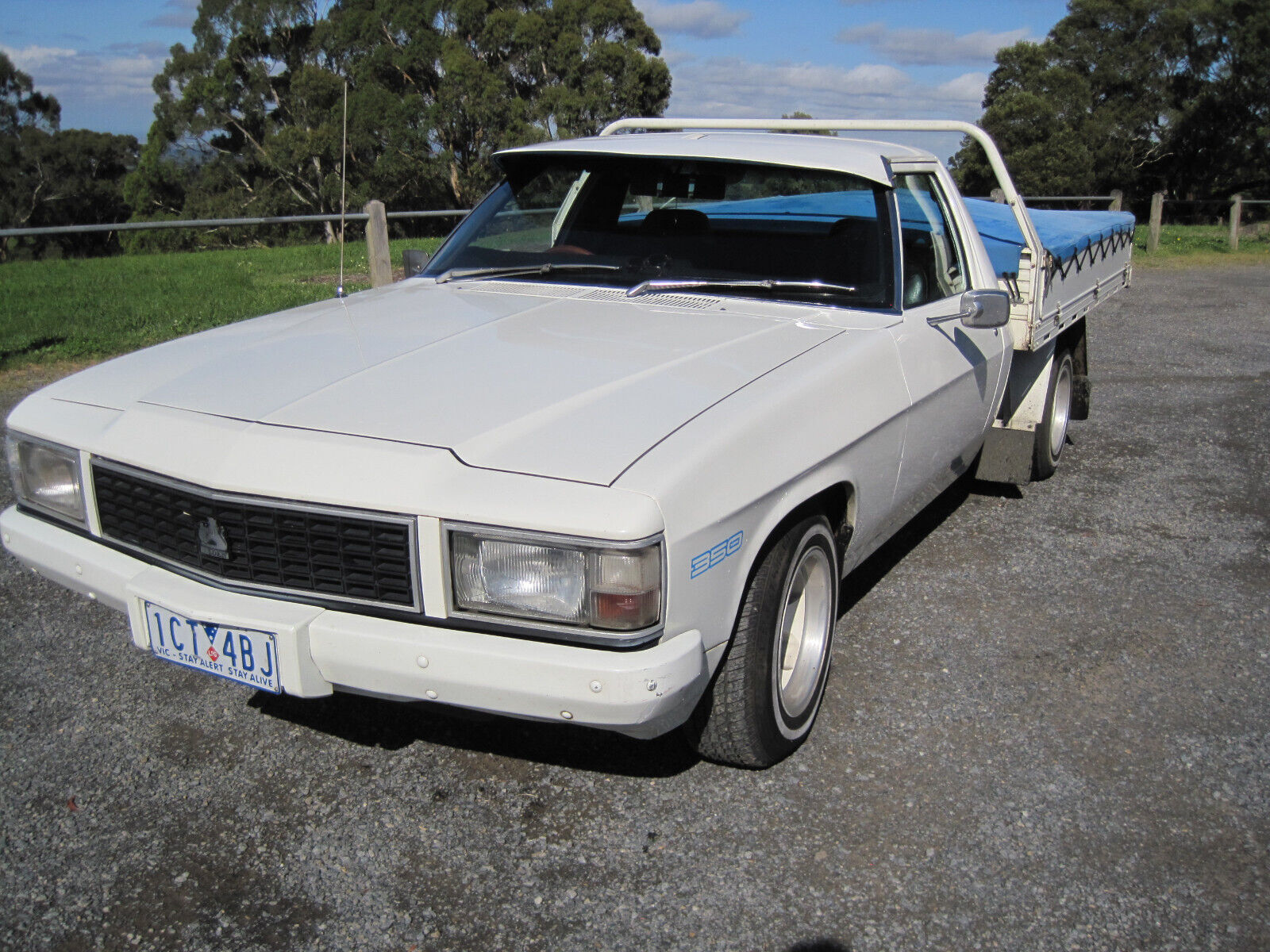 Holden WB,84 One Ton Utility,Chev 350,TH350,Auto,LPG,Very clean,Reliable,Daily.