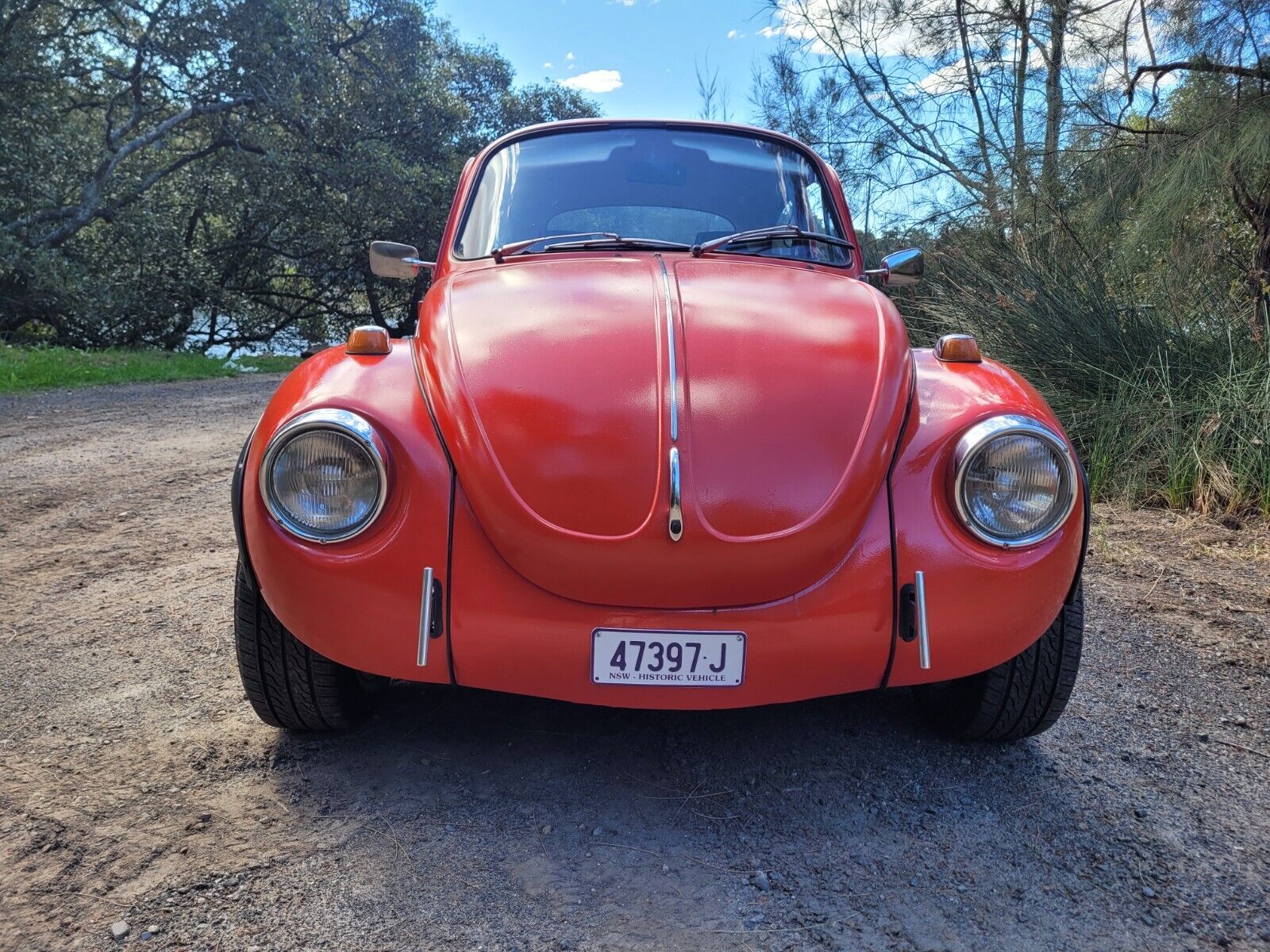 vw beetle car